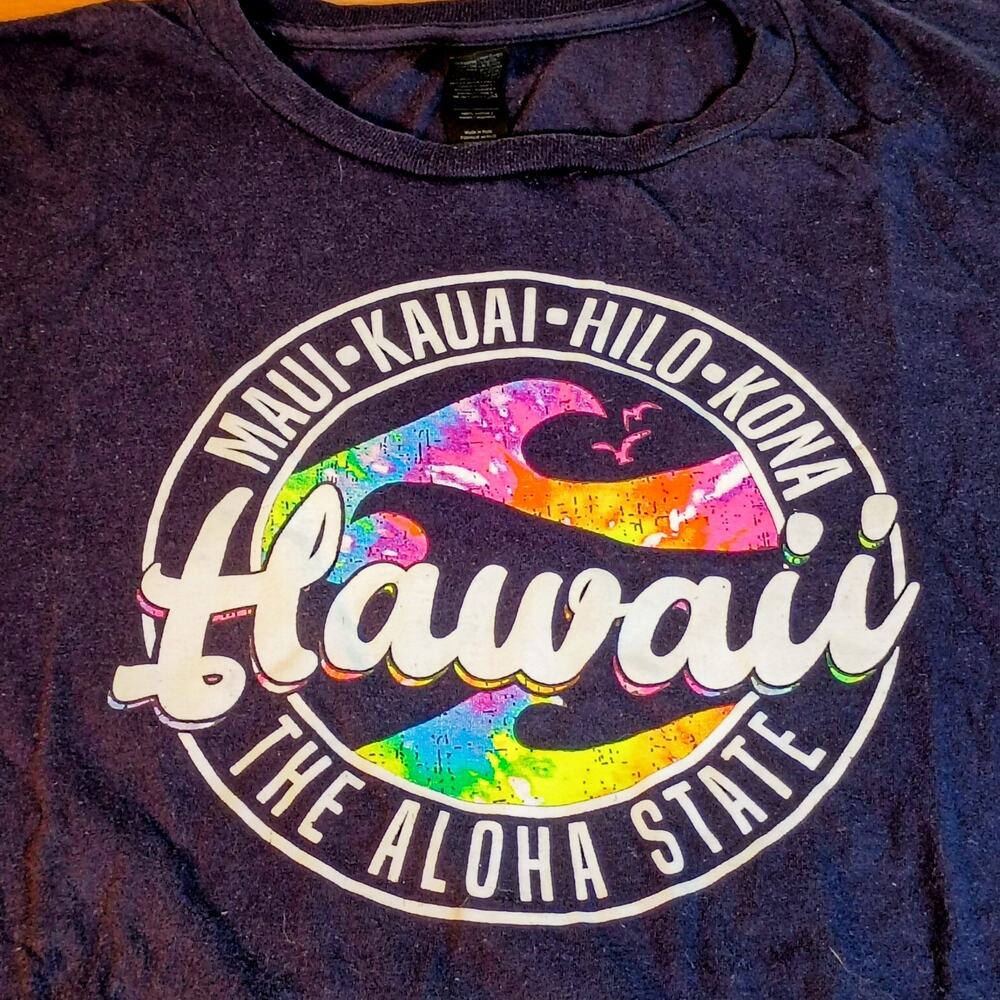 Hawaii The Aloha State T-Shirt Mens XL Navy Blue Graphic Tee Gildan Maui Kauai